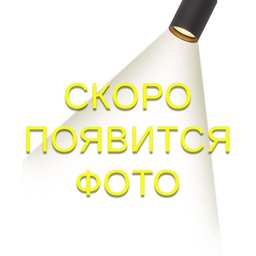 Подвесной светильник Lussole LSP-7423